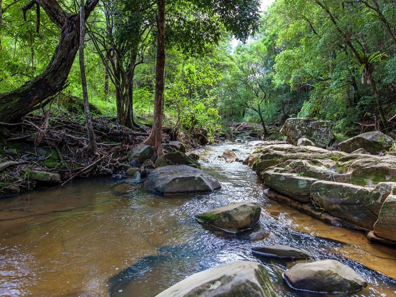 196 Hunchy Road, Palmwoods QLD 4555