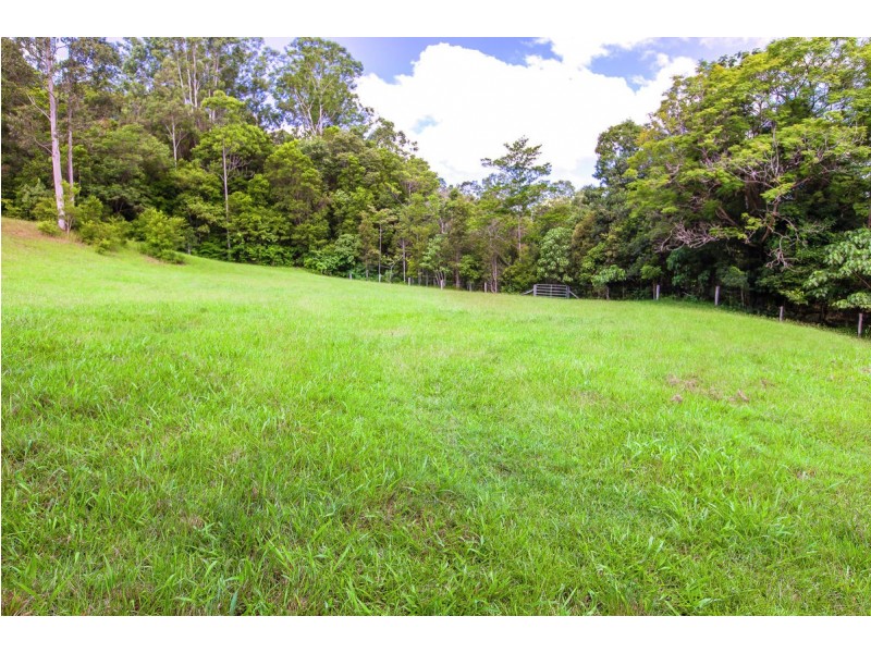 196 Hunchy Road, Palmwoods QLD 4555