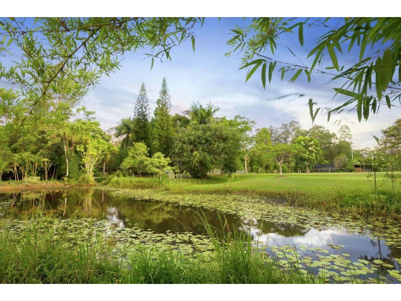 315 Palmwoods Montville Road, Palmwoods QLD 4555