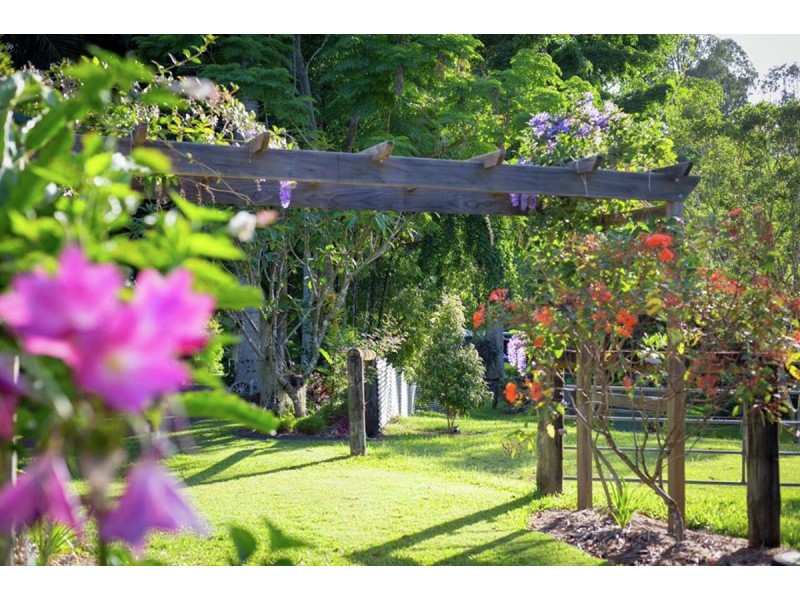 315 Palmwoods Montville Road, Palmwoods QLD 4555