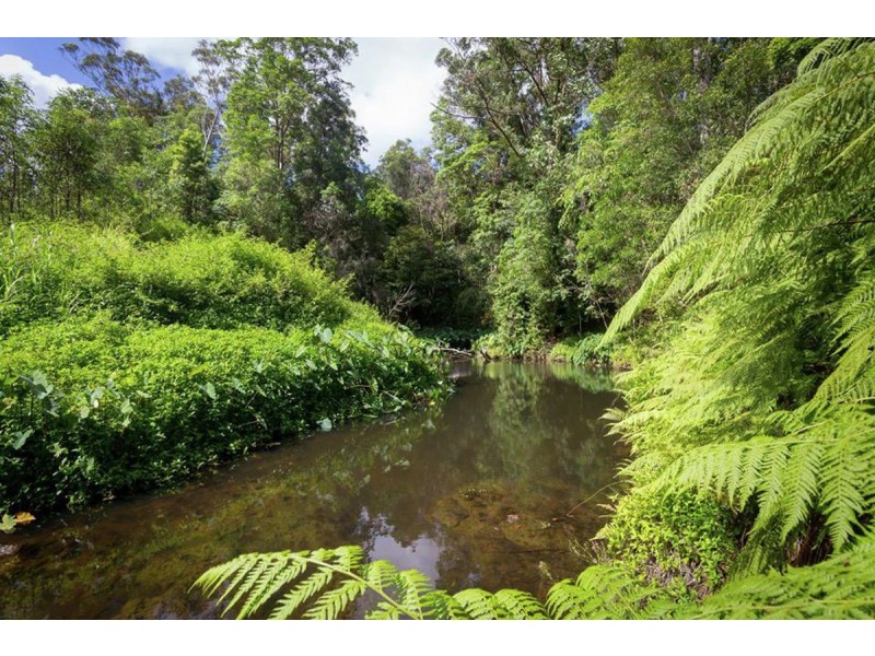 315 Palmwoods Montville Road, Palmwoods QLD 4555