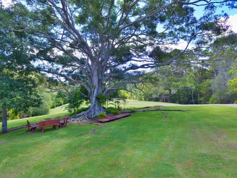 820 Maleny Kenilworth Road, Maleny QLD 4552