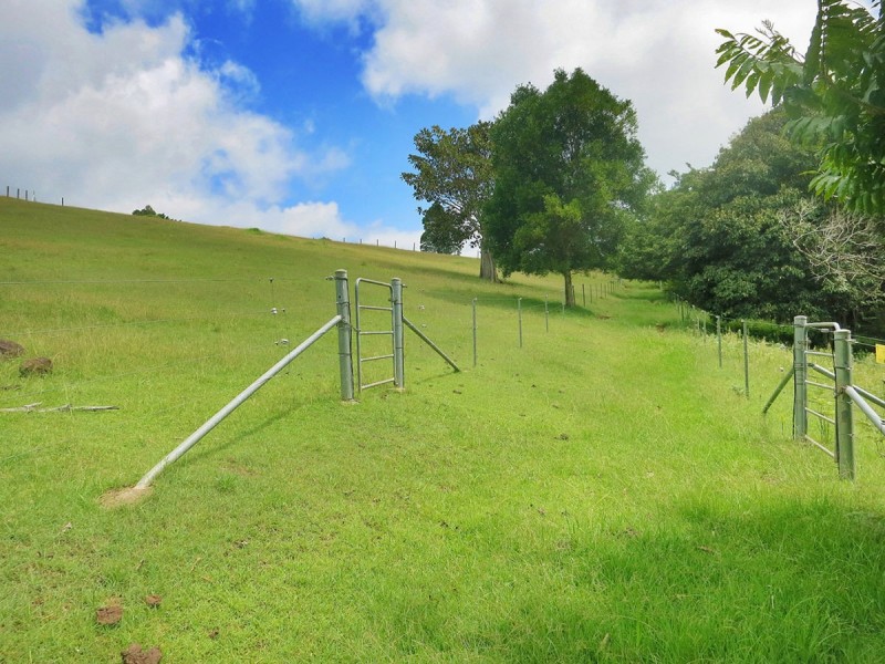 794 Curramore Road, Maleny QLD 4552