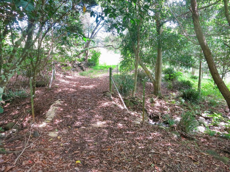 794 Curramore Road, Maleny QLD 4552