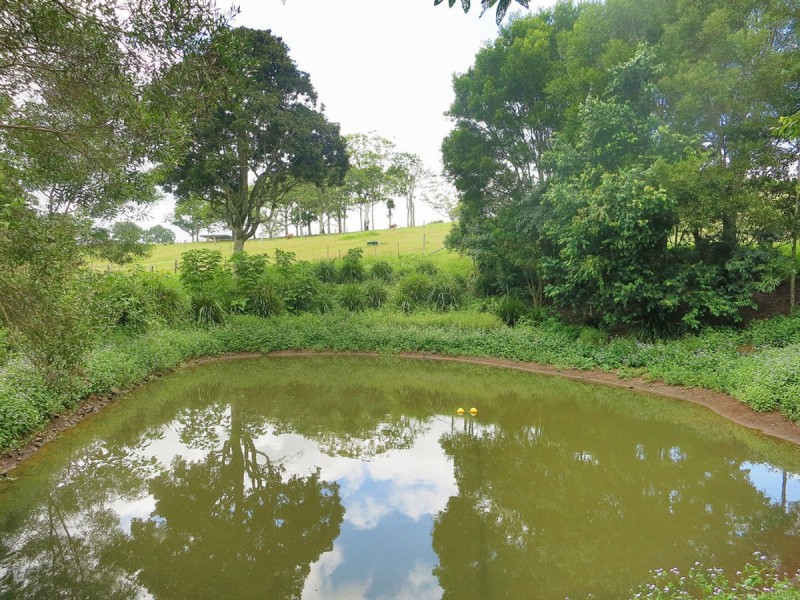 794 Curramore Road, Maleny QLD 4552