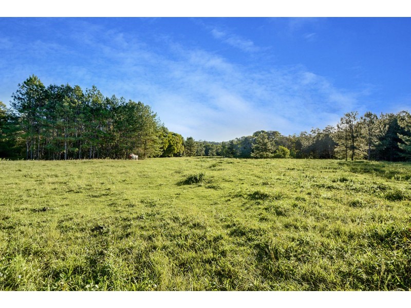 96 Crohamhurst Road, Crohamhurst QLD 4519