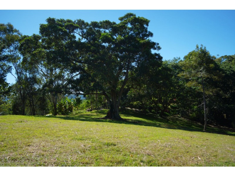 317 North Maleny Road, North Maleny QLD 4552