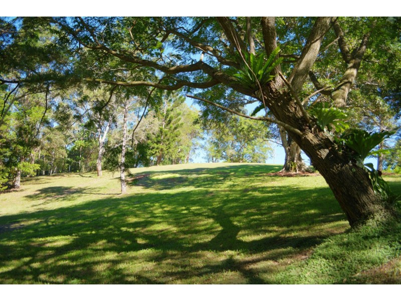 317 North Maleny Road, North Maleny QLD 4552