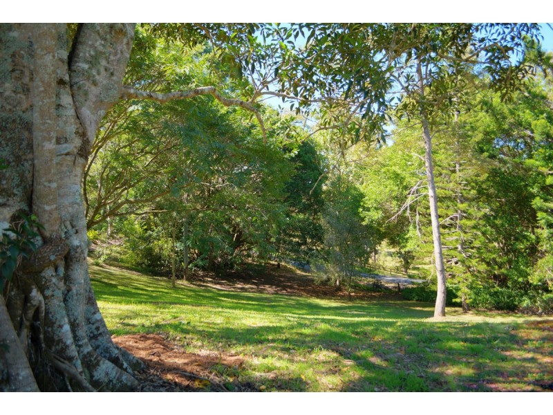 317 North Maleny Road, North Maleny QLD 4552