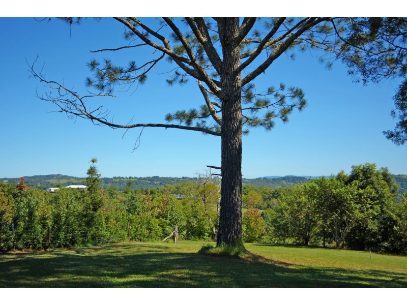 317 North Maleny Road, North Maleny QLD 4552