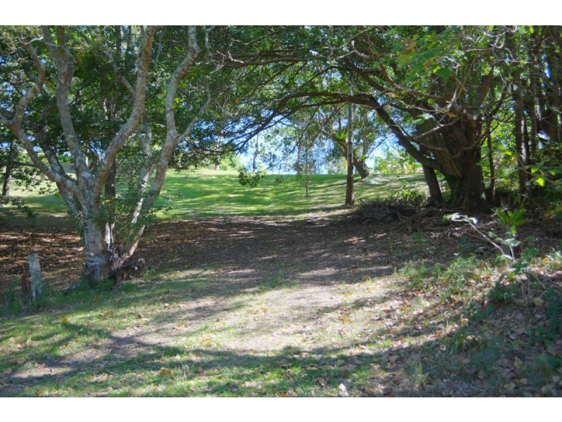 317 North Maleny Road, North Maleny QLD 4552