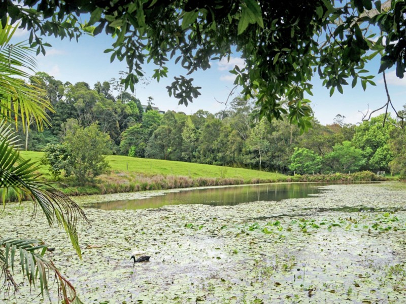 57 Mountain View Road, Maleny QLD 4552