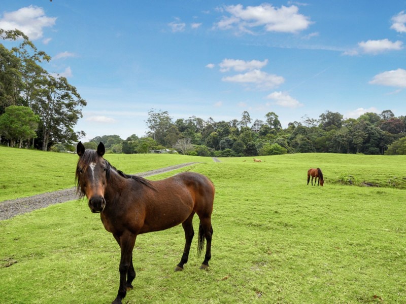 57 Mountain View Road, Maleny QLD 4552