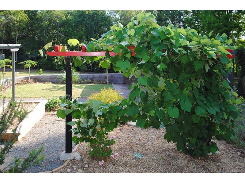 34 Rowan Lane, Mount Mellum QLD 4550