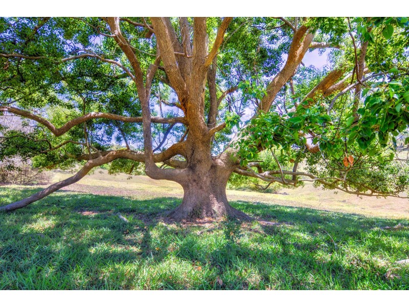 17 North Maleny Road, Maleny QLD 4552