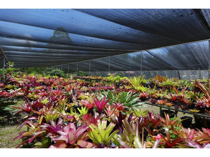 60 Mountain View Road, Maleny QLD 4552