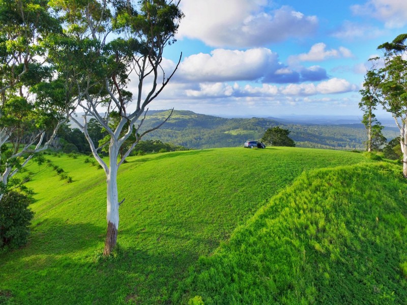 Maleny QLD 4552