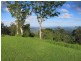 Maleny QLD 4552