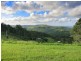 Maleny QLD 4552