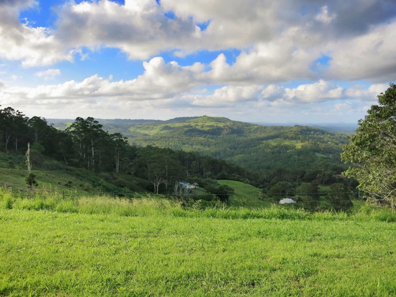 Maleny QLD 4552