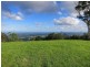Maleny QLD 4552
