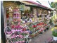 38 Maple Street, Maleny QLD 4552
