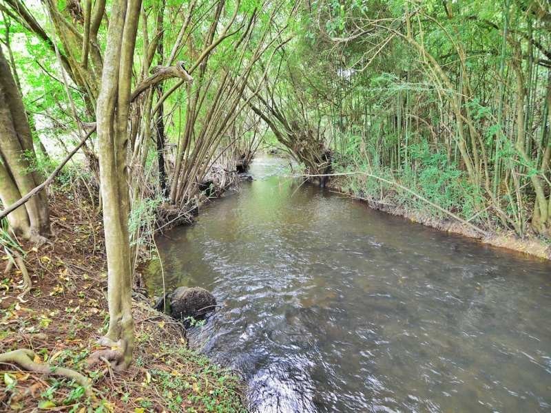 16 Bryce Lane, Maleny QLD 4552