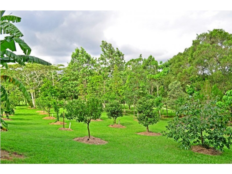 125 Schultz Road, Maleny QLD 4552