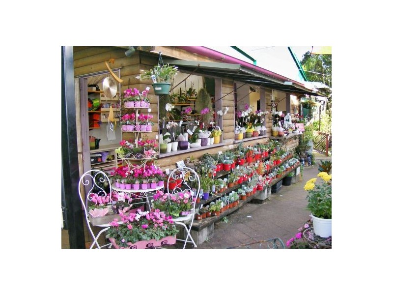 38 Maple Street, Maleny QLD 4552