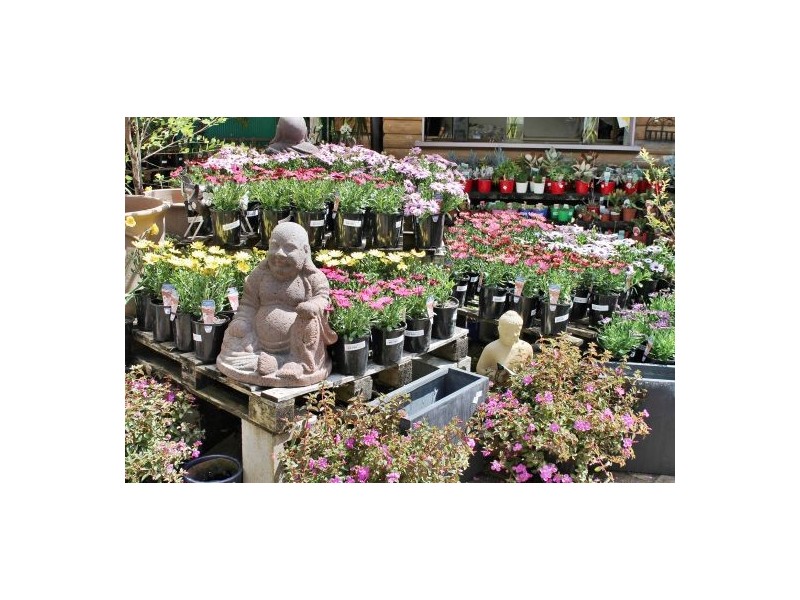 38 Maple Street, Maleny QLD 4552