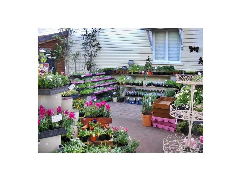 38 Maple Street, Maleny QLD 4552