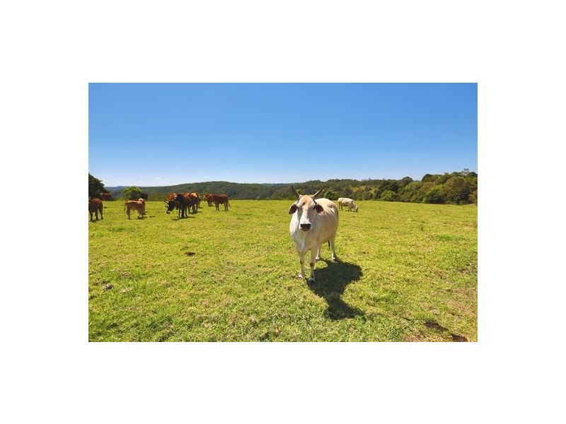 30 Nothling Lane, Maleny QLD 4552