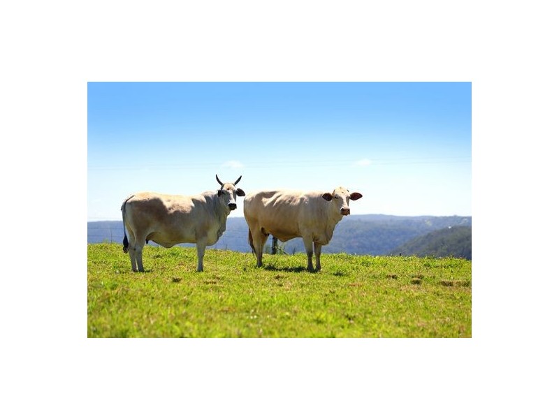 30 Nothling Lane, Maleny QLD 4552