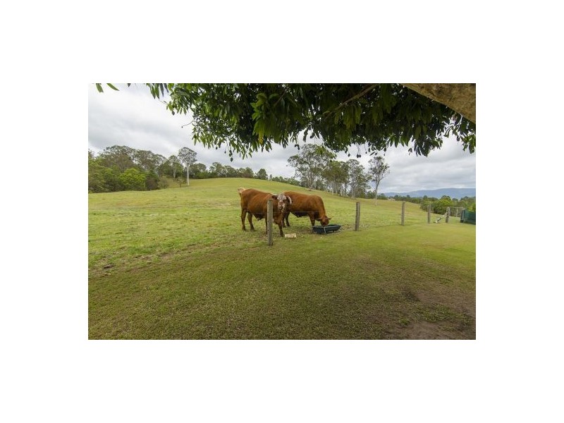 1547 Maleny Kenilworth Road, Maleny QLD 4552