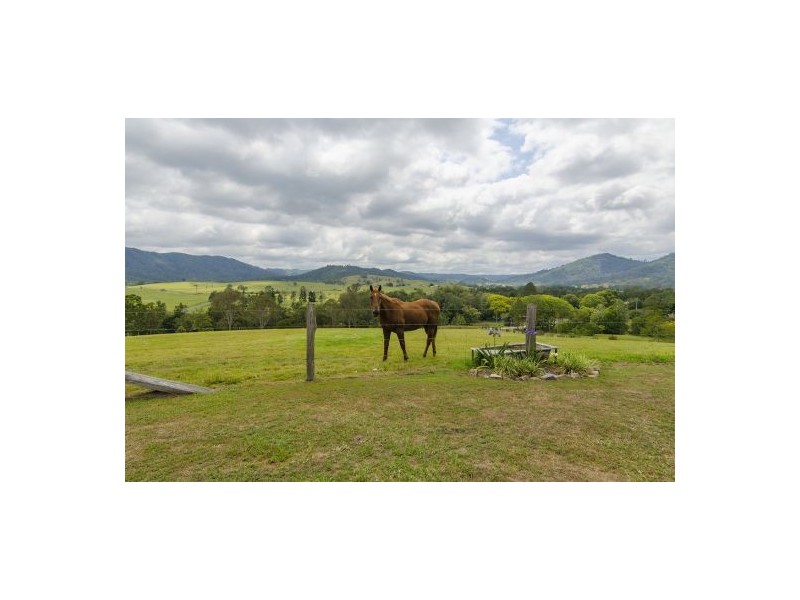 1547 Maleny Kenilworth Road, Maleny QLD 4552