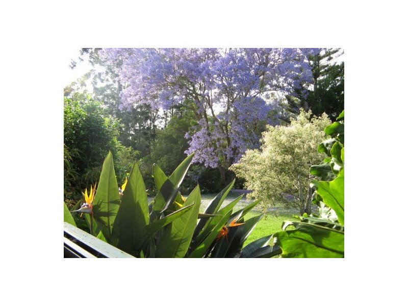 141 Maleny-Kenilworth Road, Maleny QLD 4552