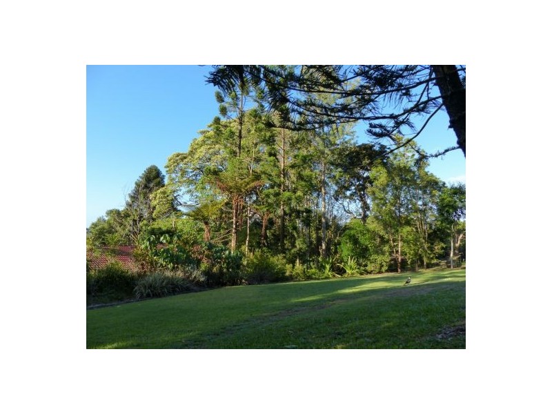 43 Tallowwood Street, Maleny QLD 4552