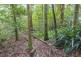 162 Ruddle Drive, Maleny QLD 4552