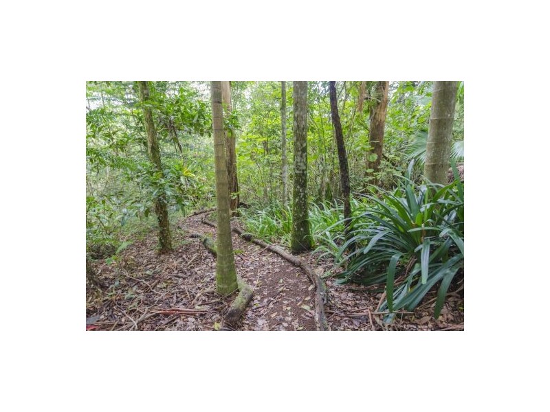162 Ruddle Drive, Maleny QLD 4552