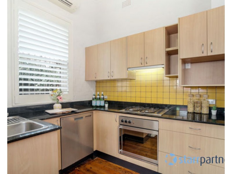 17 Lilydale Street, Marrickville NSW 2204