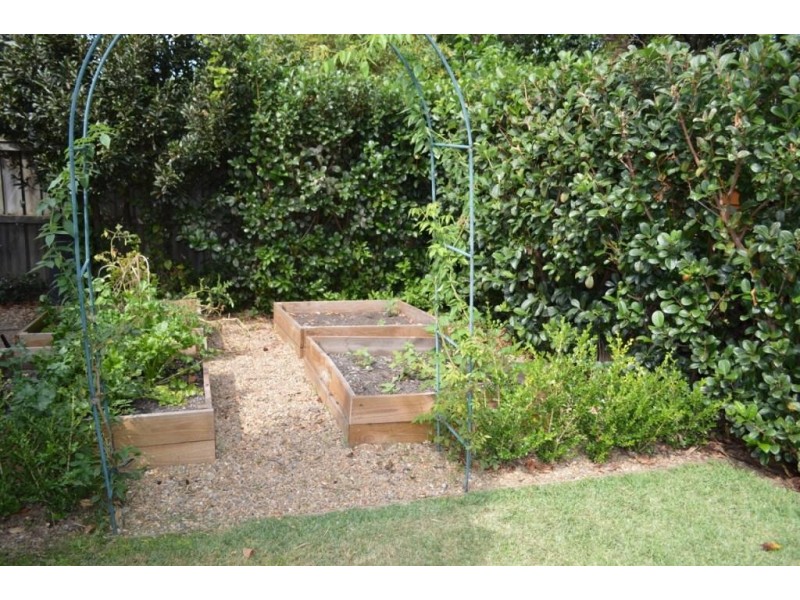 14 Hamilton Street, Riverview NSW 2066