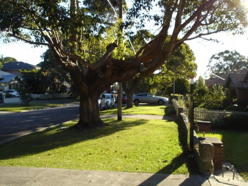 27 Hamilton Street, Riverview NSW 2066