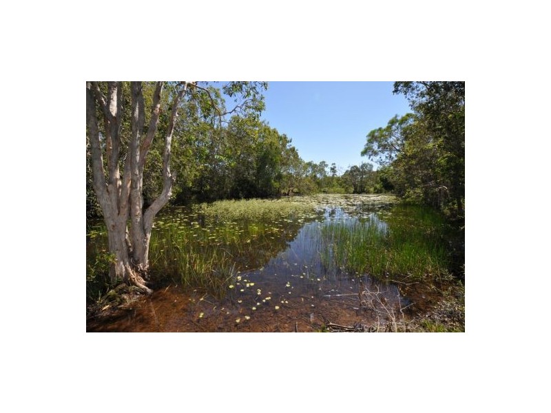 575 Cape Hillsborough Rd, Ball Bay QLD 4741