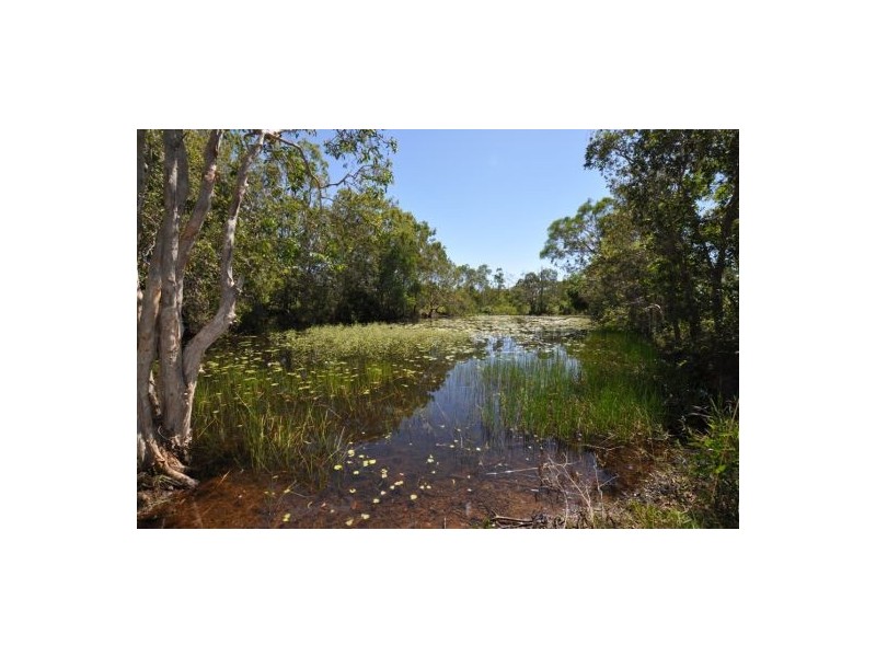 575 Cape Hillsborough Rd, Ball Bay QLD 4741