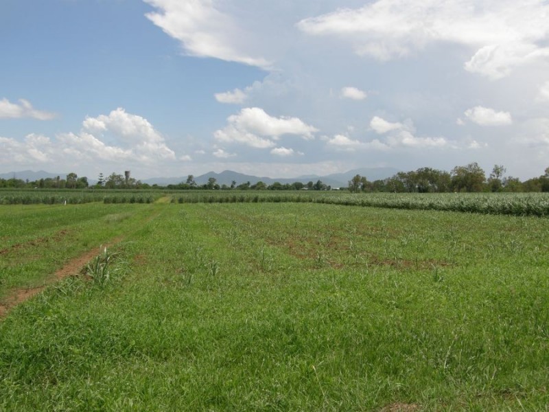 Lot 3 Mirabella’s Road, Marian QLD 4753