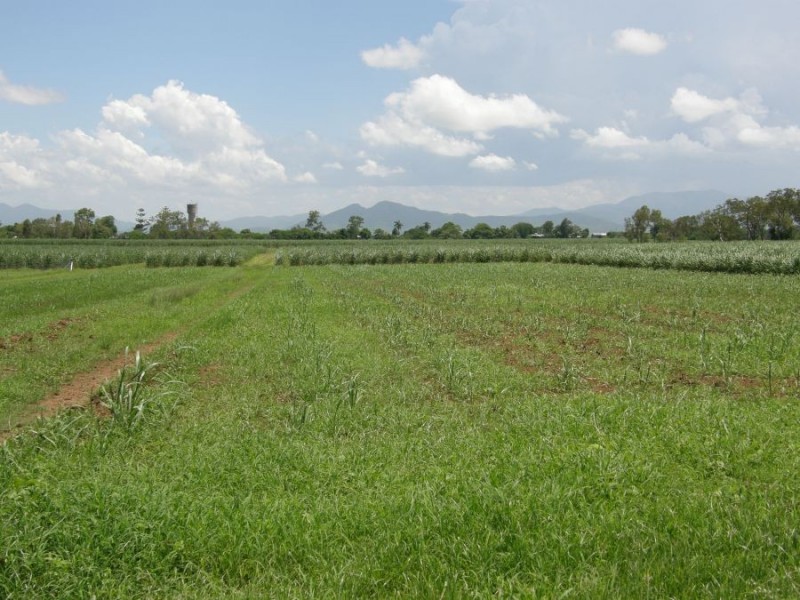 Lot 3 Mirabella’s Road, Marian QLD 4753
