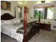 149 Andrew Fordyce Road, Seaforth QLD 4741