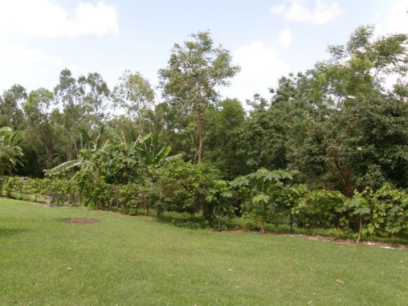 149 Andrew Fordyce Road, Seaforth QLD 4741