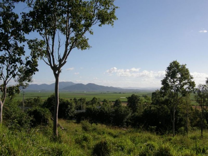 33 Nielsen Drive, Walkerston QLD 4751