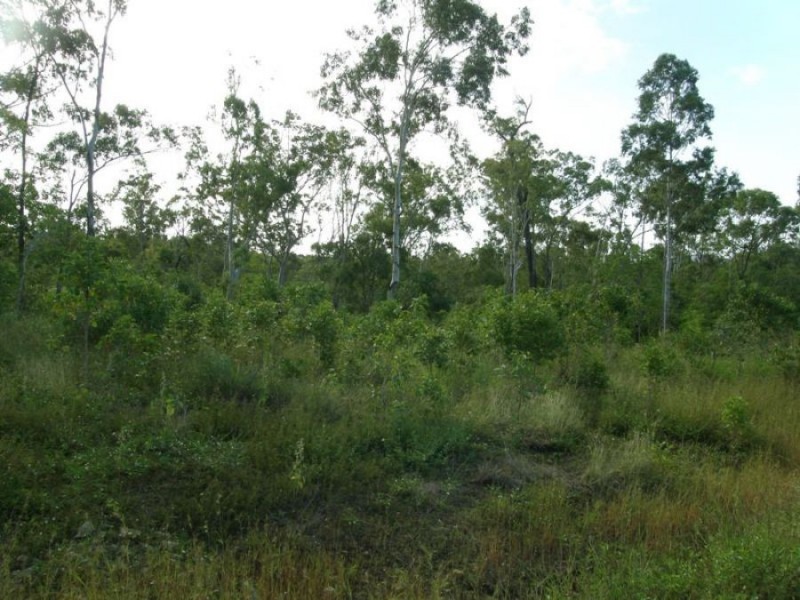 Lot 22 Lelona Drive, Bloomsbury QLD 4799